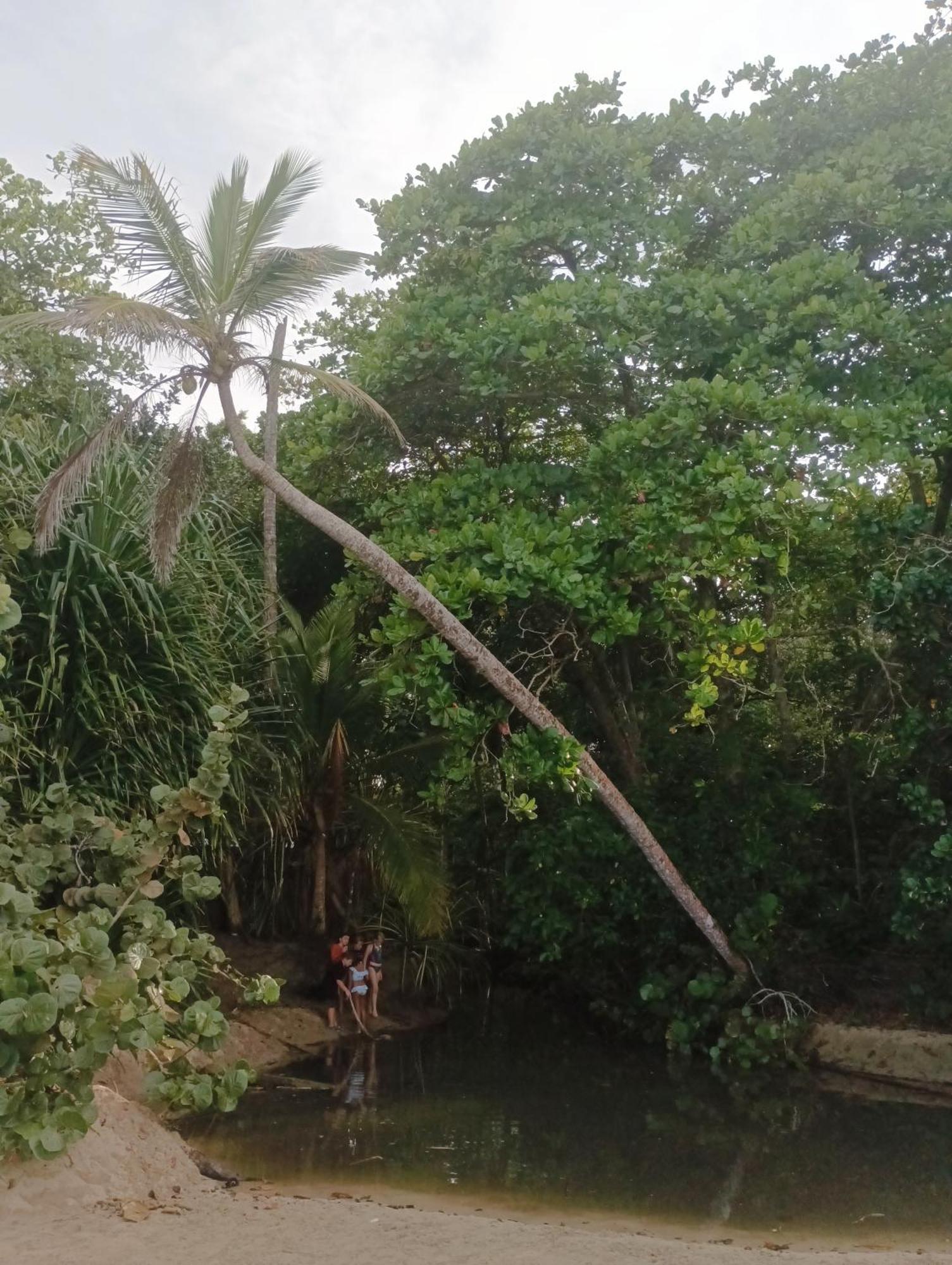 Black Bamboo Puerto Viejo de Talamanca 외부 사진