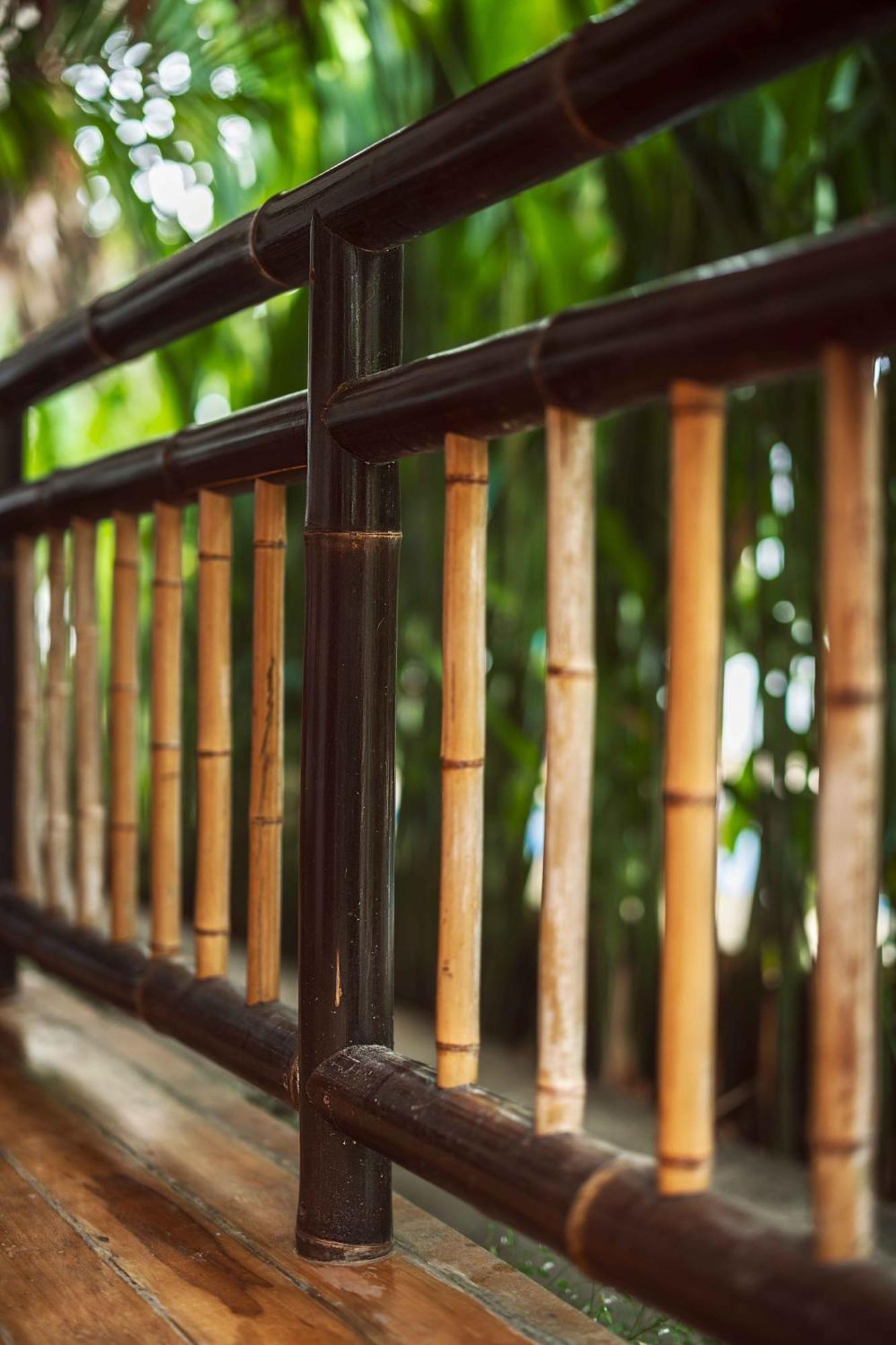 Black Bamboo Puerto Viejo de Talamanca 외부 사진