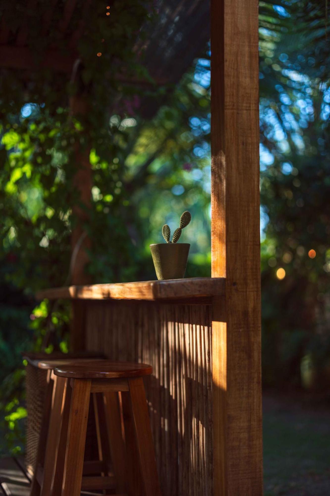 Black Bamboo Puerto Viejo de Talamanca 외부 사진