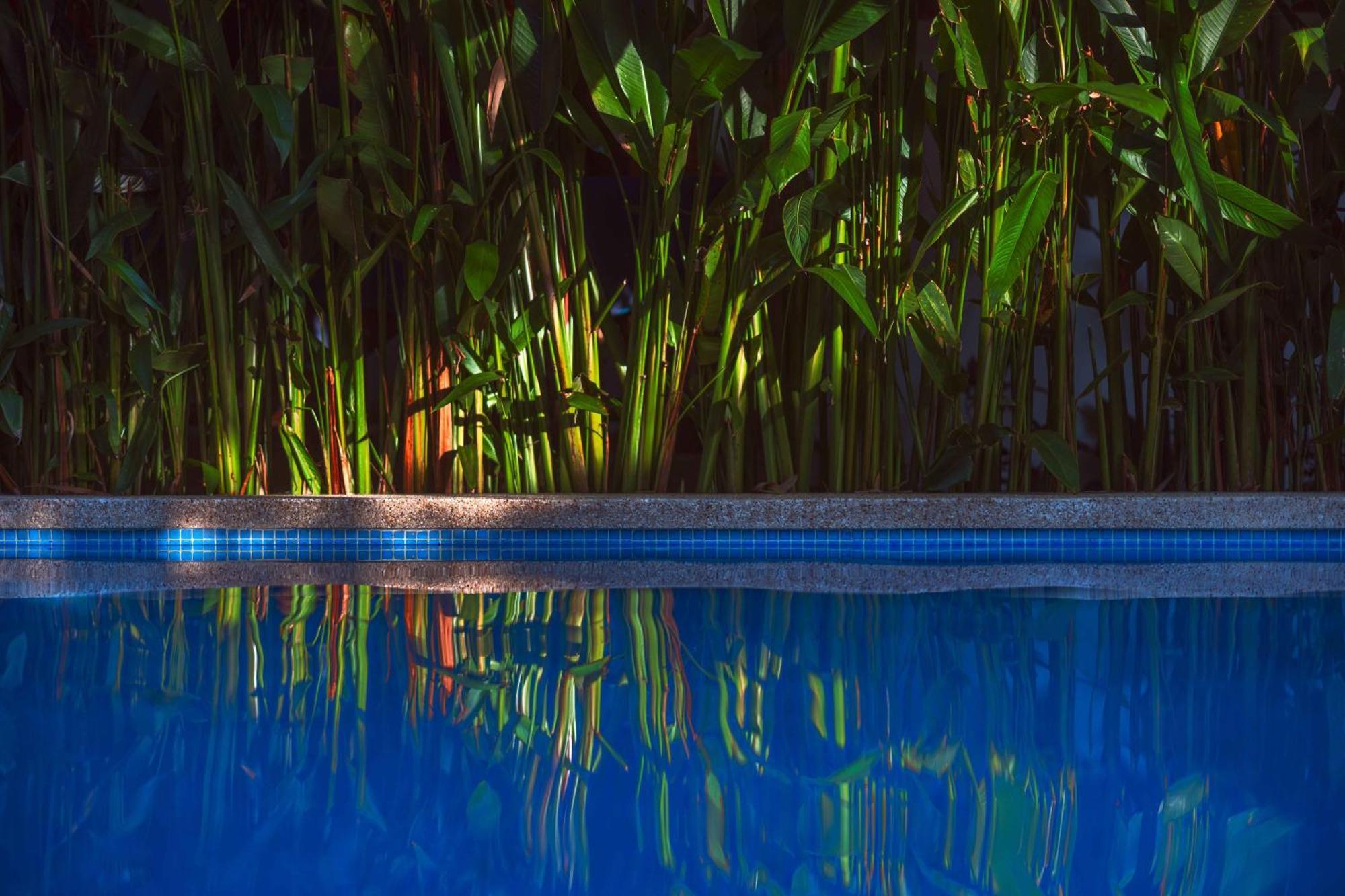Black Bamboo Puerto Viejo de Talamanca 외부 사진