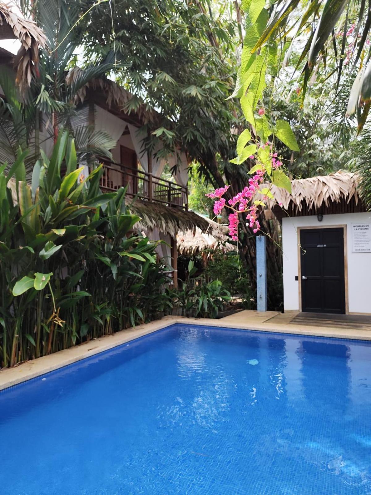 Black Bamboo Puerto Viejo de Talamanca 외부 사진